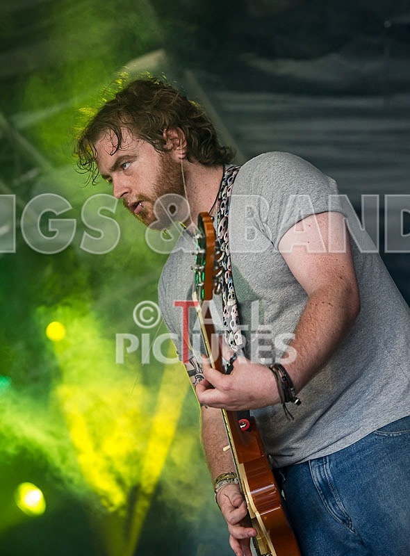 Pirate Party Brigade-5 - PIRATE PARTY BRIGADE