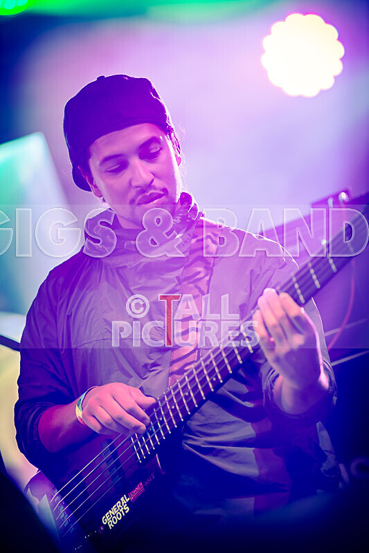 Hollie Cook-31 - HOLLIE COOK