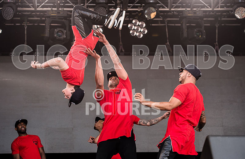 Diversity-19 - DIVERSITY