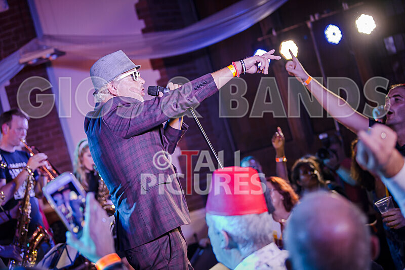 Sons of the Desert_Retro Festival_2020-393 - RETRO FESTIVAL 2020_SONS OF THE DESERT