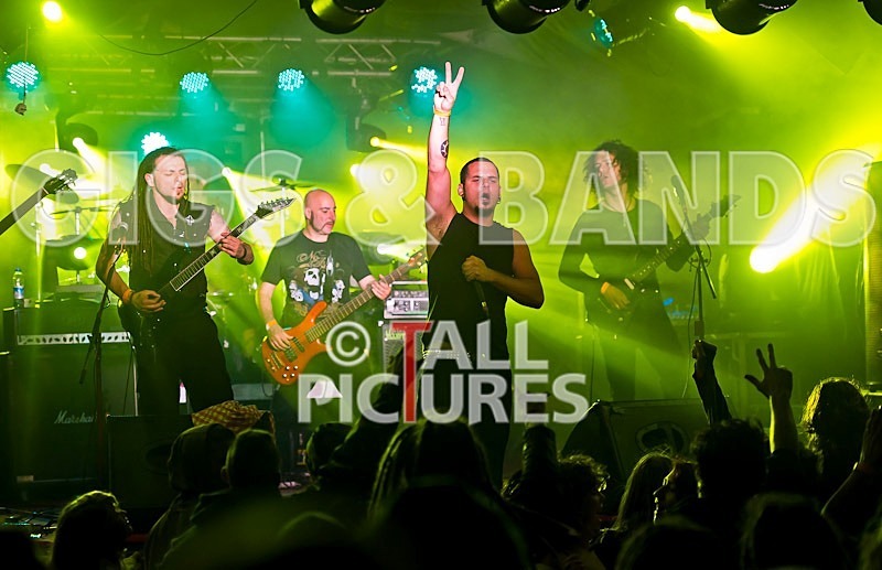 Breed77-33 - BREED77