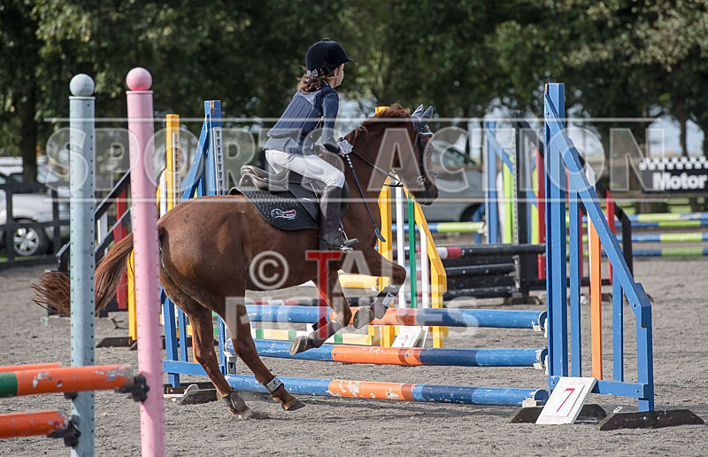 North Showjumping_2016-22 - NORTH SHOW SHOWJUMPING 2016