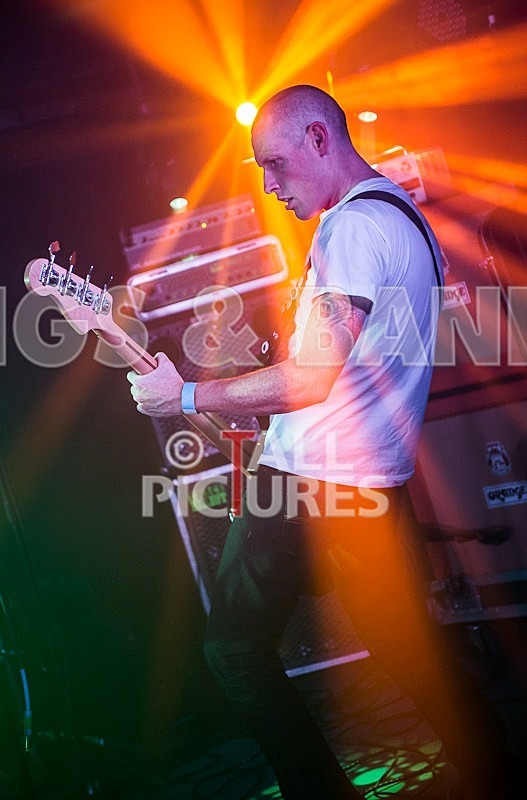 Falenizza Horsepower-85 - FALENIZZAHORSEPOWER