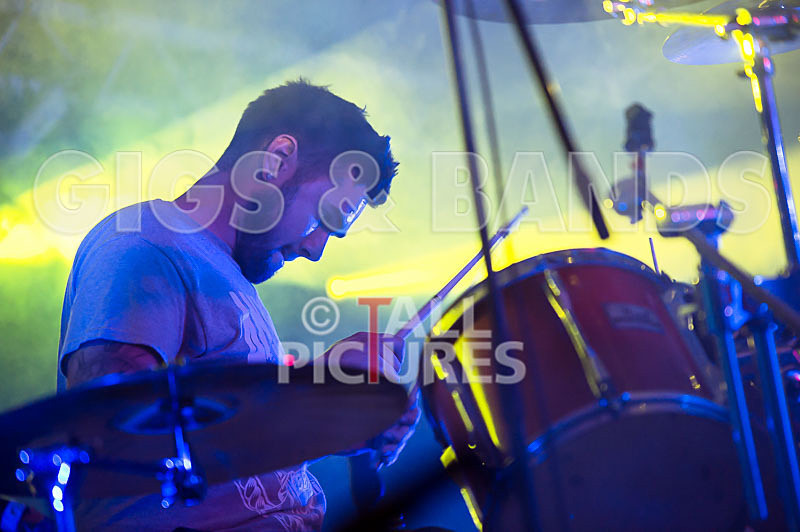 Subversion-49 - SUBVERSION