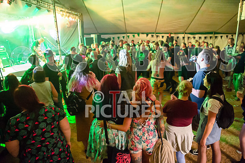 Spunge-168 - [spunge]