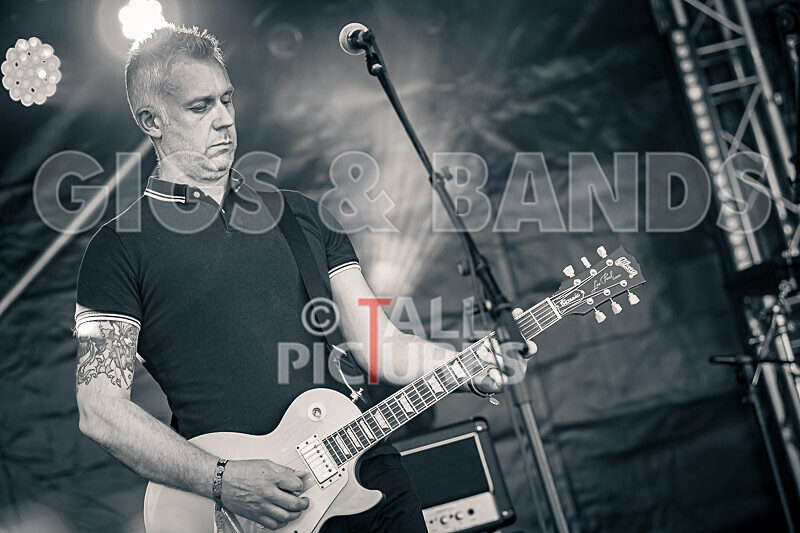 Stereotonics-15 - STEREOTONICS