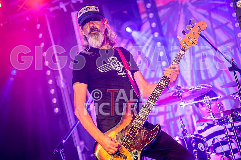 The Electric Shakes-218 - THE ELECTRIC SHAKES