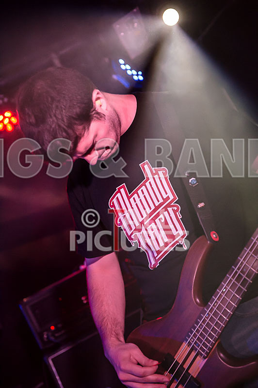 Demise of Sanity-70 - DEMISE OF SANITY