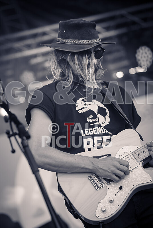 Eloise Fabbri  the Big Bad Beauty Band-30 - ELOISE FABBRI & THE BIG BAD BEAUTY BAND