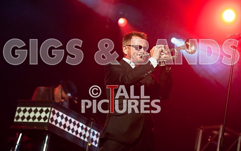 Madness-11 - MADNESS