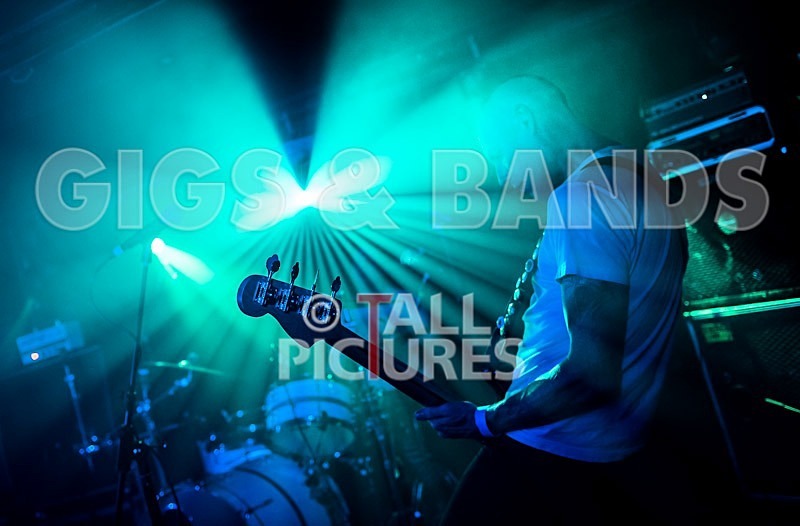 Falenizza Horsepower-104 - FALENIZZAHORSEPOWER