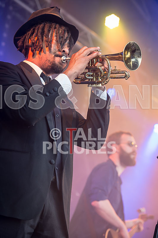 The Recks-385 - THE RECKS