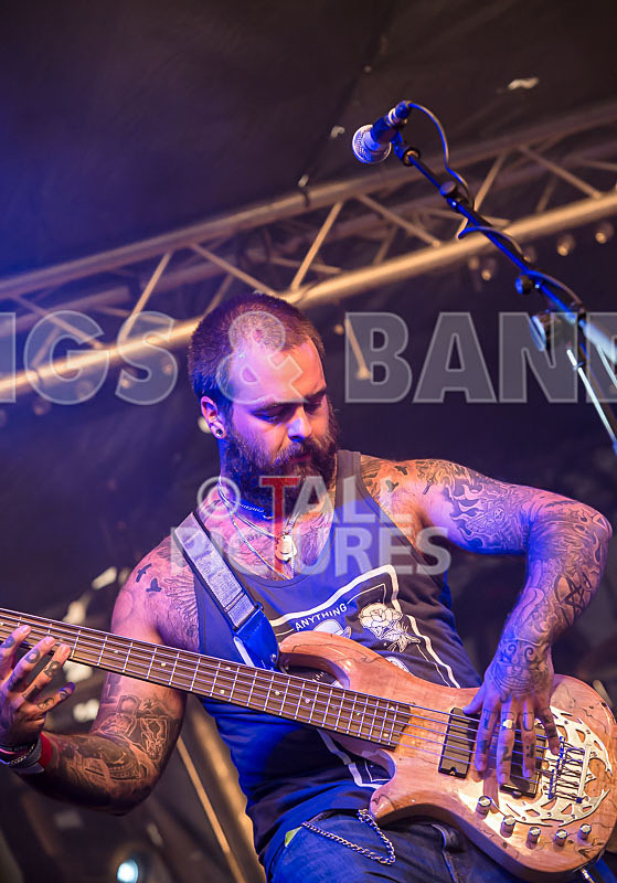 Static Alice-378 - STATIC ALICE