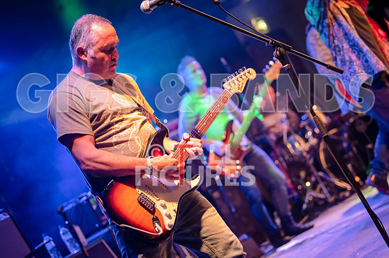 The Sacred Hearts-70 - THE SACRED HEARTS