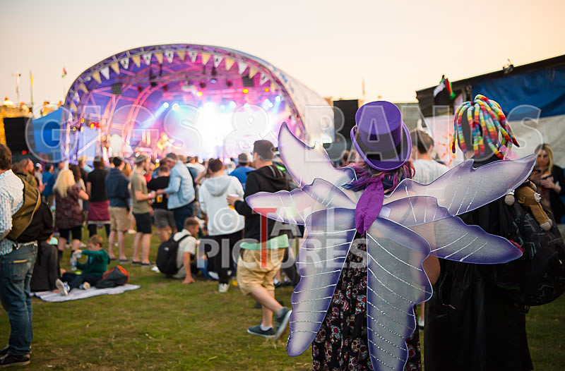 Vale Earth Fair 2017_SCENE-125 - VALE EARTH FAIR 2017_THE SCENE