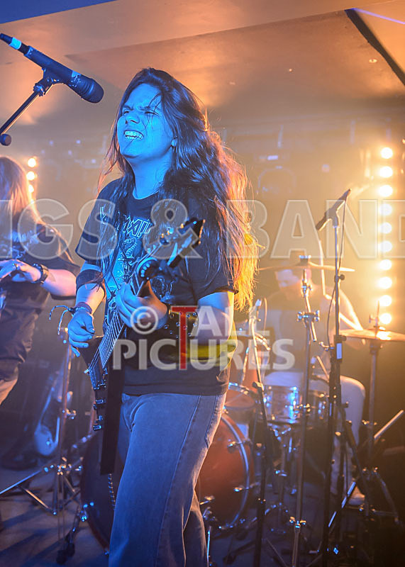 Stone Em All-227 - STONE EM ALL