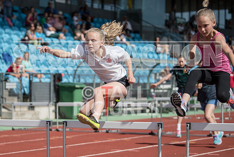 XMA Junior School Champ-3 - XMA JUNIOR SCHOOLS INDIVIDUAL CHAMPIONSHIPS 2017