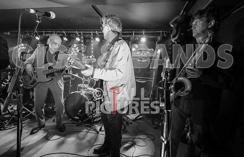 The Blockheads-38 - THE BLOCKHEADS