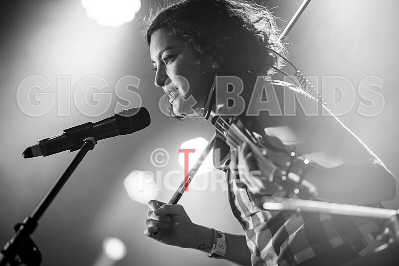 The King Blues-30 - THE KING BLUES