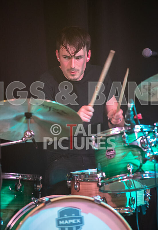 The Tarantulips-42 - THE TARANTULIPS