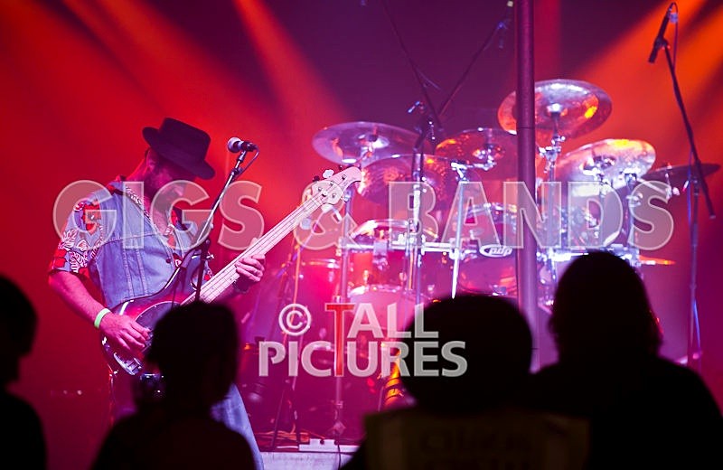 Peppered Ant Legs-46-0001 - PEPPERED ANT LEGS