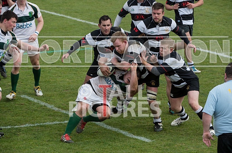 Rugby_Guernsey v Sutton  Epsom-30 - GUERNSEY v SUTTON & EPSOM RFC