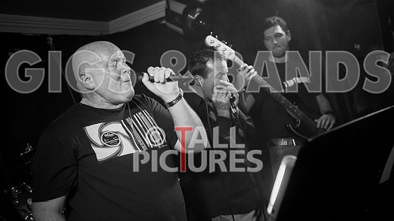 Hevvy Bevvy Blues Band-36 - HEVVY BEVVY BLUES BAND