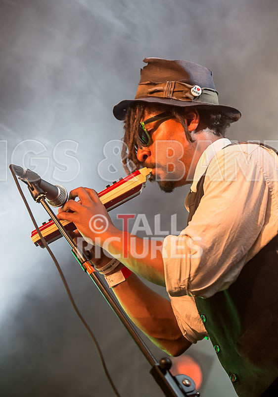 The Recks-467 - THE RECKS