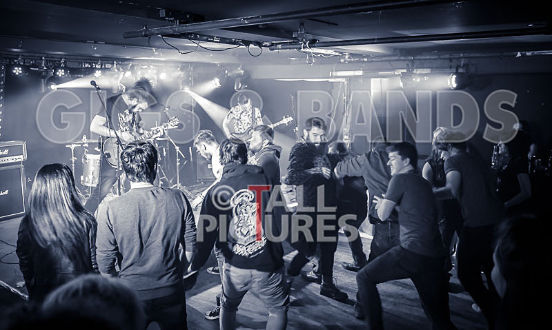 To the Woods-426 - TO THE WOODS