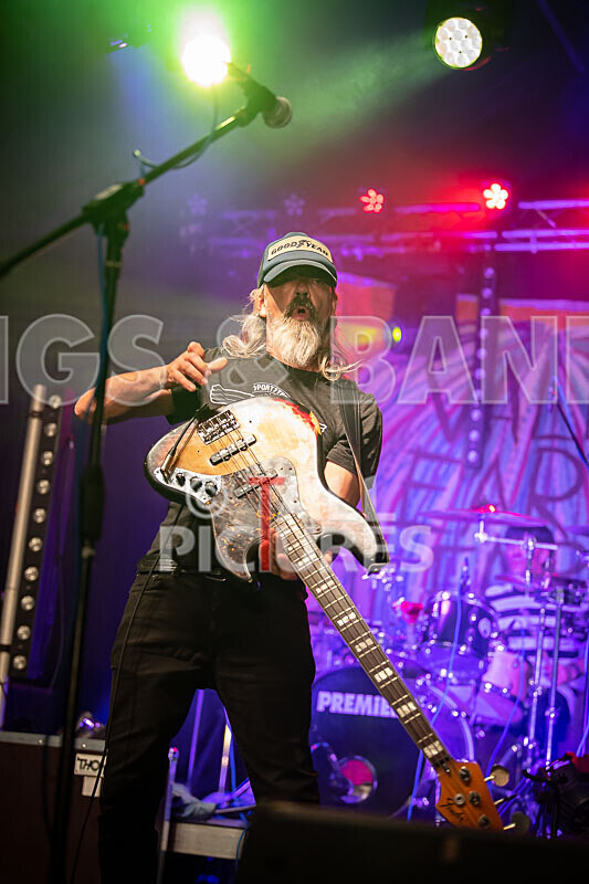 The Electric Shakes-192 - THE ELECTRIC SHAKES