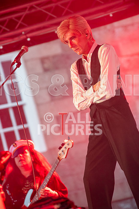 The Bowie Experience-45 - THE BOWIE EXPERIENCE