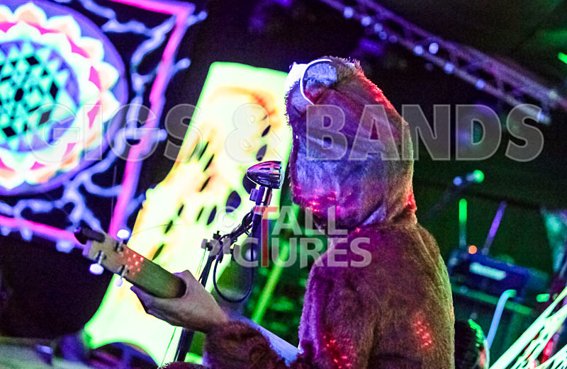 Greenman Chaos Festival 2018_The Scene-11 - GREENMAN CHAOS FESTIVAL 2018_THE SCENE