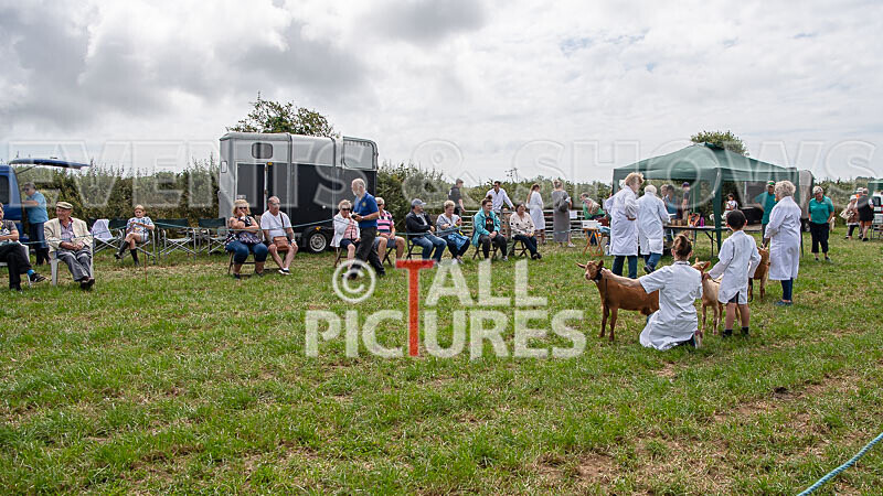 Guernsey Agricultural Show 2021-67 - GUERNSEY AGRICULTURAL SHOW 2021