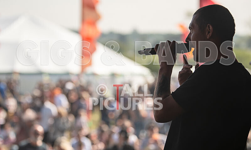 Buffalo Huddleston-717 - BUFFALO HUDDLESTON