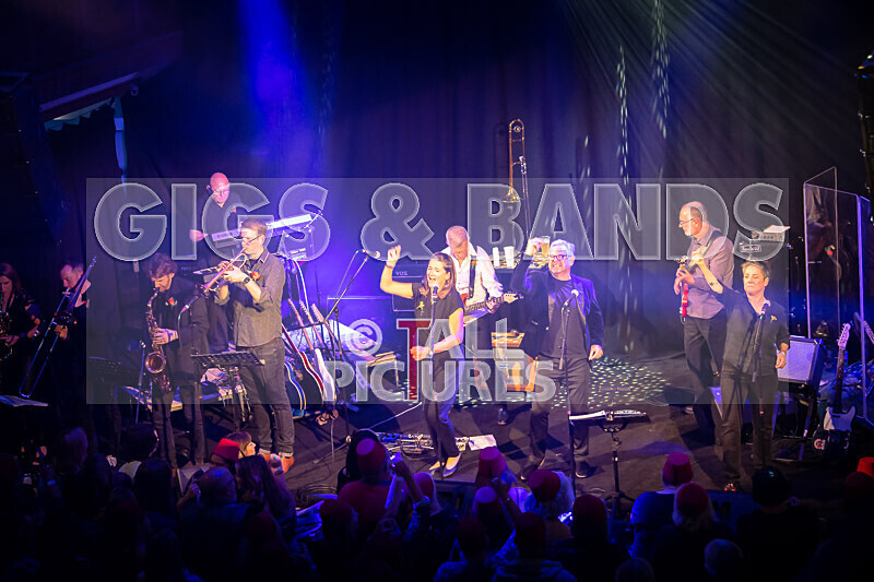 King Rat  the Soul Cats-451 - KING RAT & THE SOUL CATS