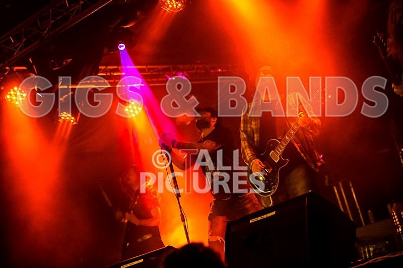 Viking Skull-36 - VIKING SKULL