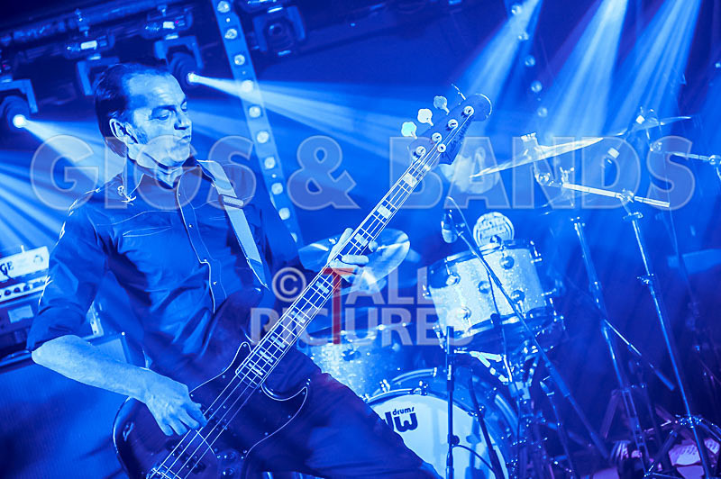 The Electric Shakes-136 - THE ELECTRIC SHAKES