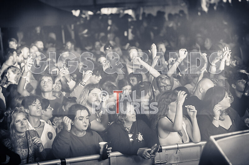 Vale Earth Fair 2022_The Scene-58 - VALE EARTH FAIR 2022_THE SCENE