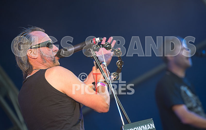 Vale Earth Fair 2015-8 - VALE EARTH FAIR 2015 - THE PRESS EDIT