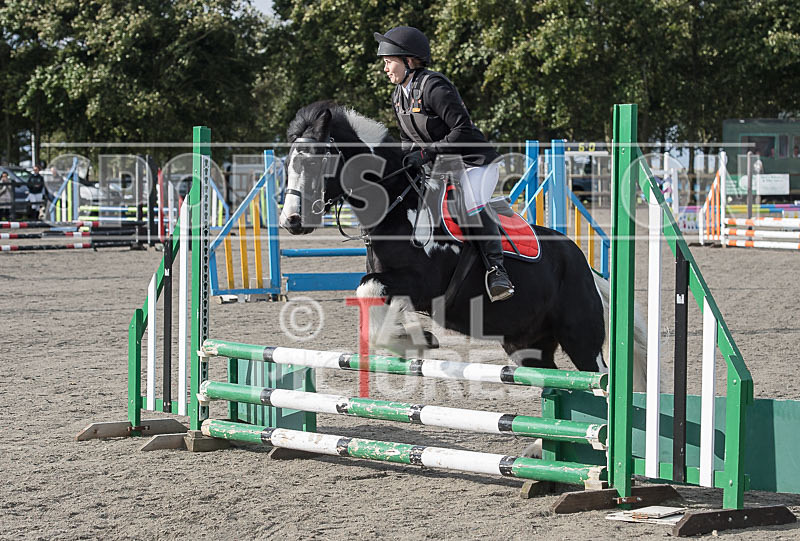 North Showjumping_2016-72 - NORTH SHOW SHOWJUMPING 2016