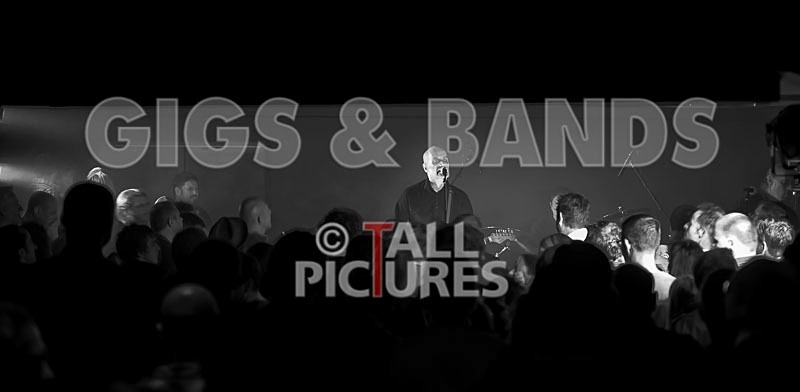 The Wilko Johnson Band-118 - THE WILKO JOHNSON BAND