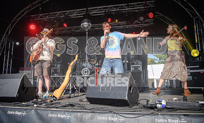 Buffalo Hudleston-713 - BUFFALO HUDLESTON