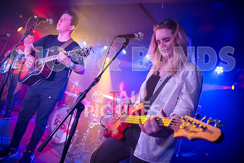 Purple Paradox-16 - PURPLE PARADOX