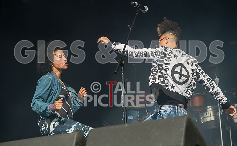 Stereo MCs-30 - STEREO MC's