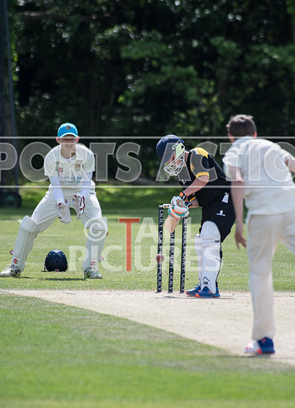 Cricket at KGV_27-05-2017-9 - CRICKET AT KGV_27-05-2017