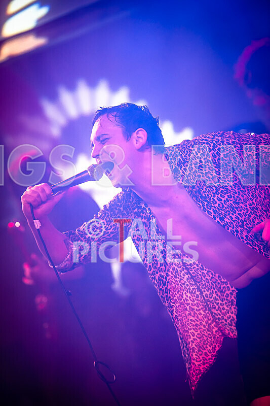 Pigsx7-42 - PIGS PIGS PIGS PIGS PIGS PIGS PIGS