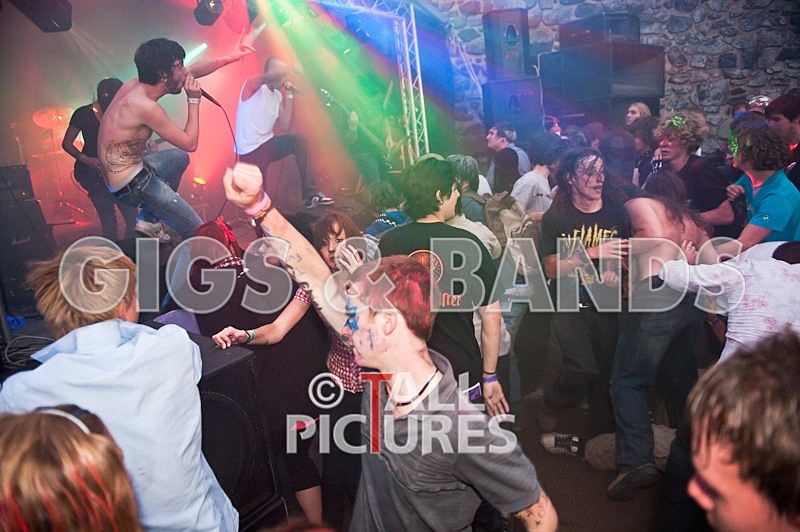 Elmer Henley-105 - VALE EARTH FAIR 2009