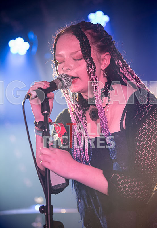 Avacado Geff-3 - AVACADO GEFF