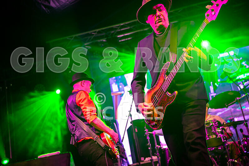 Ruts DC-23 - RUTS DC