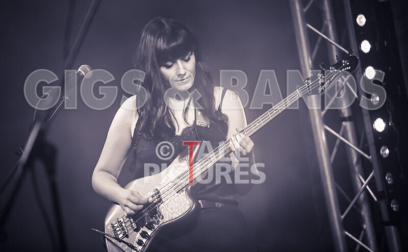 The Tarantulips-25 - THE TARANTULIPS